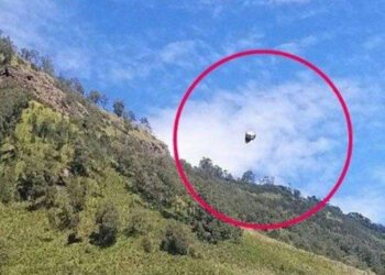 Cek Fakta: UFO di Probolinggo dan Bandung