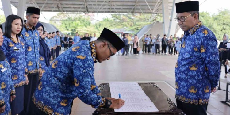 Serahkan SK P3K, Danny Pomanto: Jadilah Guru yang Berdedikasi dan Mencerdaskan Bangsa - Utama