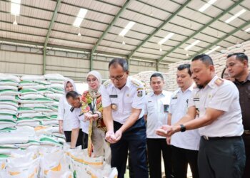 Stok Beras di Makassar Aman hingga Akhir Tahun