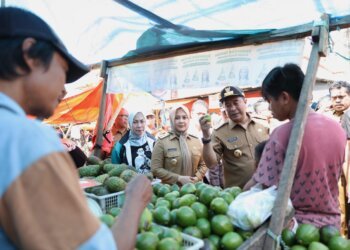 Dampingi PJ Gub Sulsel, Fatmawati Rusdi Tinjau Harga Komoditas Pangan di Dua Pasar Tradisional