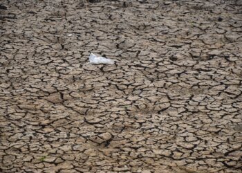 Shalat Istisqa di Ciamis, Jawa Barat: Doa untuk Mengatasi Kemarau Panjang