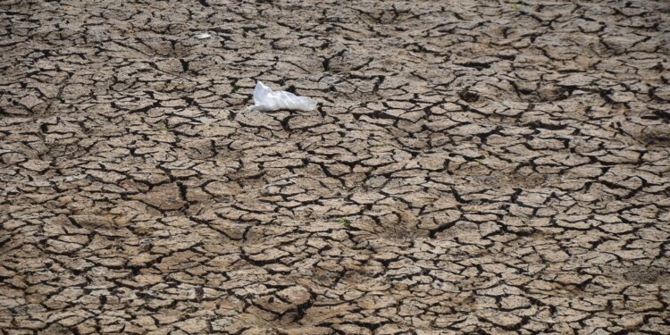 Shalat Istisqa di Ciamis, Jawa Barat: Doa untuk Mengatasi Kemarau Panjang