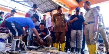 Danny Pomanto Minta ke Pj Gubernur Bahtiar, Aset TPI Paotere Dikembalikan ke Pemkot Makassar - Utama Danny Pomanto Minta ke Pj Gubernur Bahtiar, Aset TPI Paotere Dikembalikan ke Pemkot Makassar - Utama