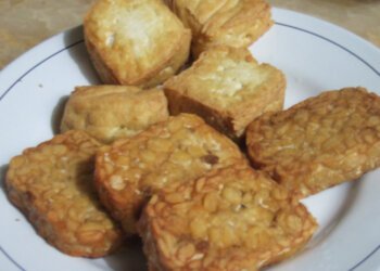 Pencegah Stunting Anak Tidak Harus Mahal