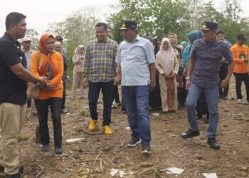 Pj Gubernur Sulsel dan Petani Tanam Sukun, Bernilai Ekonomis dan Untuk Penghijauan