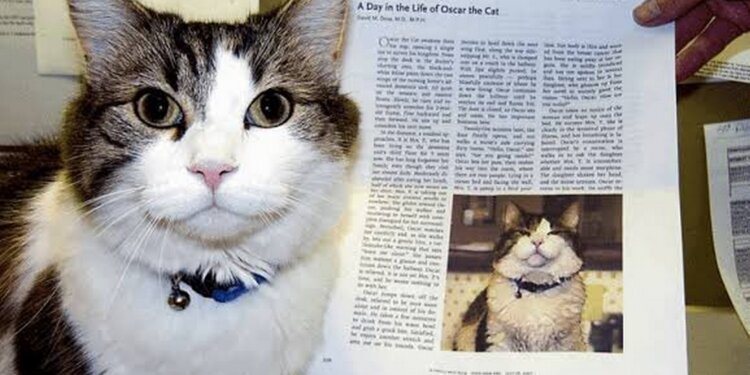 Fenomena Kucing Terapi, Oscar yang Bisa Merasakan Kematian - Utama