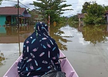 1 Kota dan 5 Kabupaten di Kalimantan Tengah Terendam Banjir