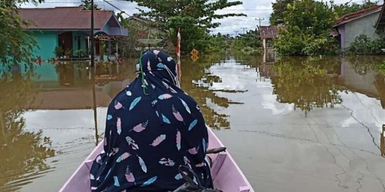 1 Kota dan 5 Kabupaten di Kalimantan Tengah Terendam Banjir - Featured