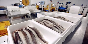 KPPMI: Potensi Ekonomis Perikanan Belum dimaksimalkan Pemuda Pesisir - Utama