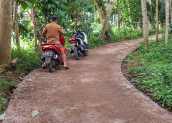 Pemerintah Desa Gununggeni Kabupaten Probolinggo Bangun 4 Titik Jalan Rabat Beton