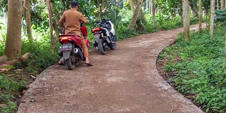 Pemerintah Desa Gununggeni Kabupaten Probolinggo Bangun 4 Titik Jalan Rabat Beton