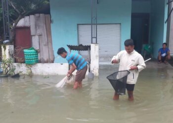 Dua Tanggul Jebol, Warga Tangkap Ikan Depan Rumah