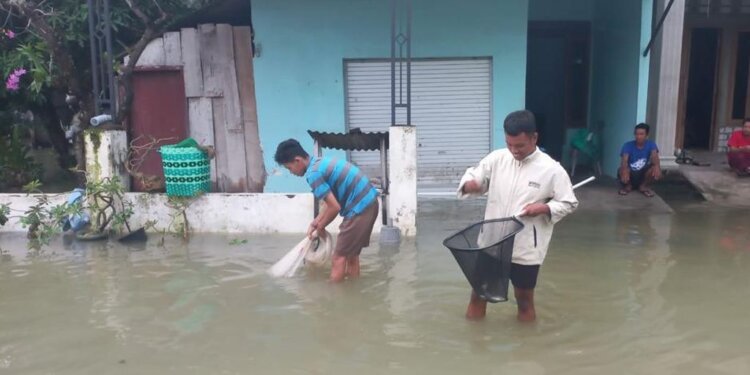 Dua Tanggul Jebol, Warga Tangkap Ikan Depan Rumah - Featured
