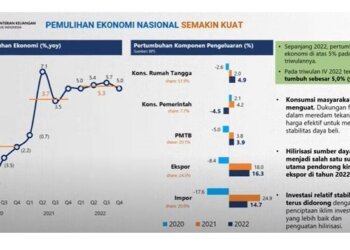 Pertumbuhan Ekonomi Indonesia ditargetkan 5,3%-5,6% pada 2025