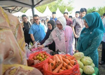 Indira Yusuf Ismail Dampingi Danny dan PJ Gubernur Sulsel Tinjau Gerakan Pangan Murah di Kawasan CPI