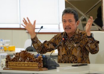 Susi Pudjiastuti Sedih, Menteri Kelautan dan Perikanan Kembali Izinkan Ekspor Benih Lobster