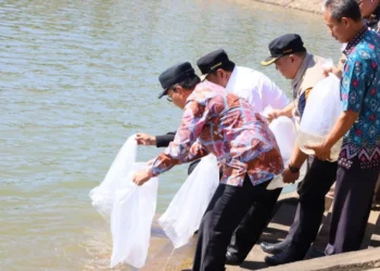 Danny Pomanto, Pj Gubernur Sulsel & Bupati Maros, Lepas Benih Ikan Tawar di Waduk Nipa-Nipa