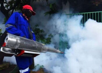 Maret Lalu Kasus DBD Melonjak di kota Makassar