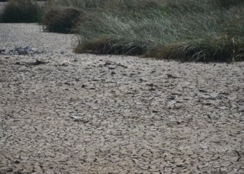 BMKG Prakirakan Kekeringan Melanda Sulsel Juni – September 2024