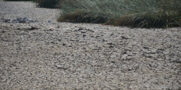 BMKG Prakirakan Kekeringan Melanda Sulsel Juni – September 2024