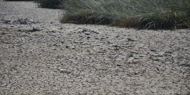 BMKG Prakirakan Kekeringan Melanda Sulsel Juni – September 2024 - Featured