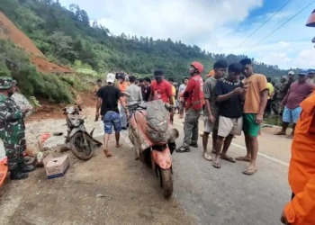 Longsor di Luwu Sulawesi Selatan, 14 Warga Meninggal Dunia