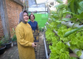 Ketua TP PKK Kota Makassar Dorong IRT di Kecamatan Wajo berdaya lewat UMKM