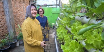 Ketua TP PKK Kota Makassar Dorong IRT di Kecamatan Wajo berdaya lewat UMKM - Utama