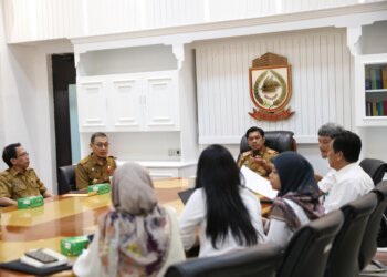 Fokus Tingkatkan Tata Kelola Manajemen Risiko, PJ Sekda Terima Kunjungan Asitensi BPKP Sulsel