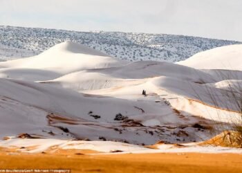 Salju Turun Di Arab Saudi 2