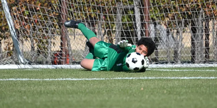 Zoom Melampaui Batas dengan NIKKOR Z 28-400mm f/4-8 VR