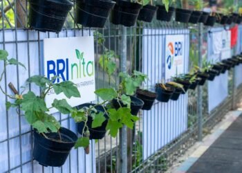 Wartakita Id Bbri Green Economy