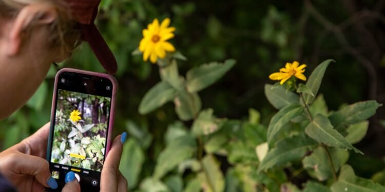 Foto Keren dengan Ponsel: Trik Jadi Fotografer Andal! - Featured