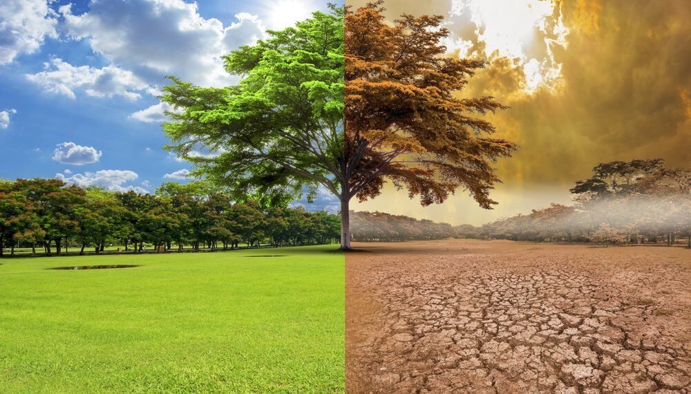 Repiw Com Green Tech Solusi Teknologi Untuk Mengatasi Perubahan Iklim.jpg