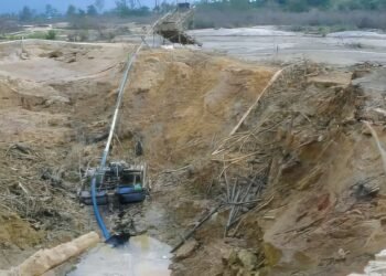 Wartakita Id Tambang Emas Ilegal Kalimantan Wna China