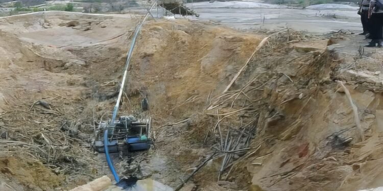 Wartakita Id Tambang Emas Ilegal Kalimantan Wna China