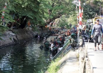 10767519 49f0 45bb A191 F3c85429ac9c.jpeg