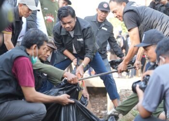 B44c2409 889a 40d4 A570 F5862af6feaf Scaled.jpeg