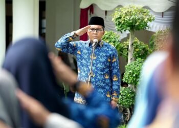 Eb88f882 3689 49d8 8b09 2798d883c4d3 Scaled.jpeg