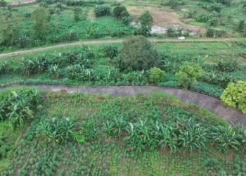 Wartakita Id Stadion Sudiang 2