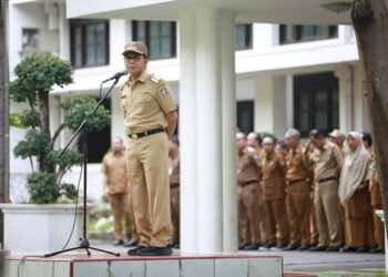 2553554d Dccb 4d1b 9f42 D18964f1a5c8.jpeg