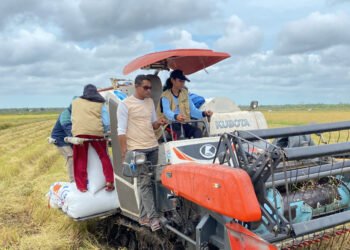 Wartakita Petani Milenial Sulsel