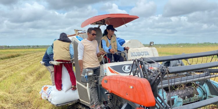 Wartakita Petani Milenial Sulsel