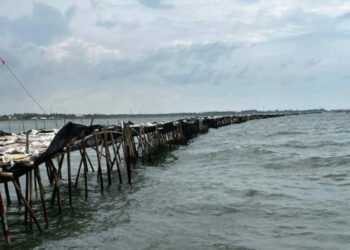 Wartakita Pagar Laut