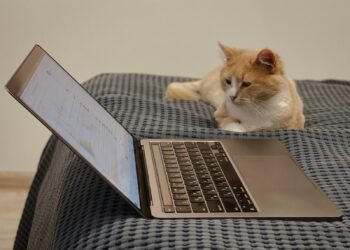 Guncangan Pasar Cryptocurrency: Penurunan Harga Bitcoin dan Dampaknya