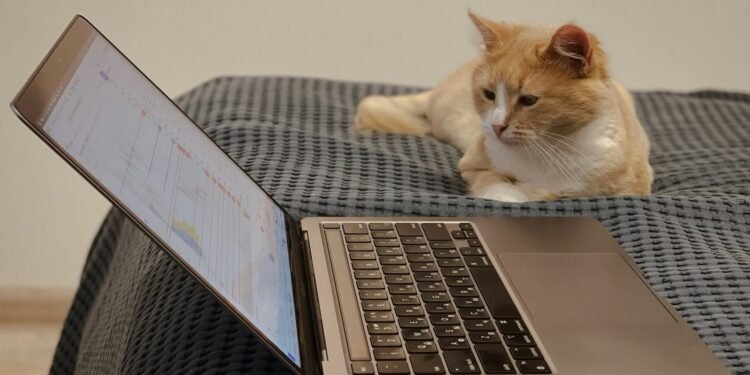 Guncangan Pasar Cryptocurrency: Penurunan Harga Bitcoin dan Dampaknya