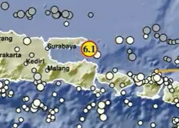 Gempa Bumi Magnitudo 6,5 Guncang Jawa Timur: Warga Panik, BMKG Pantau Aktivitas Sesar Bawah Laut