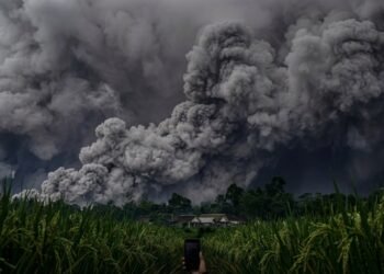 Erupsi Semeru 19 November 2025: Kubah Lava Runtuh & Mitos Paku Bumi