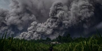 Erupsi Semeru 19 November 2025: Kubah Lava Runtuh & Mitos Paku Bumi