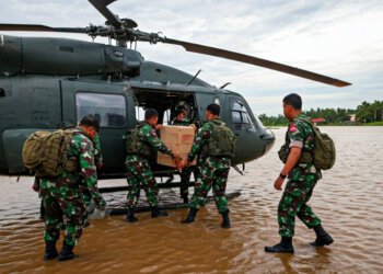 img 1765014496 5e28e36278c27f77